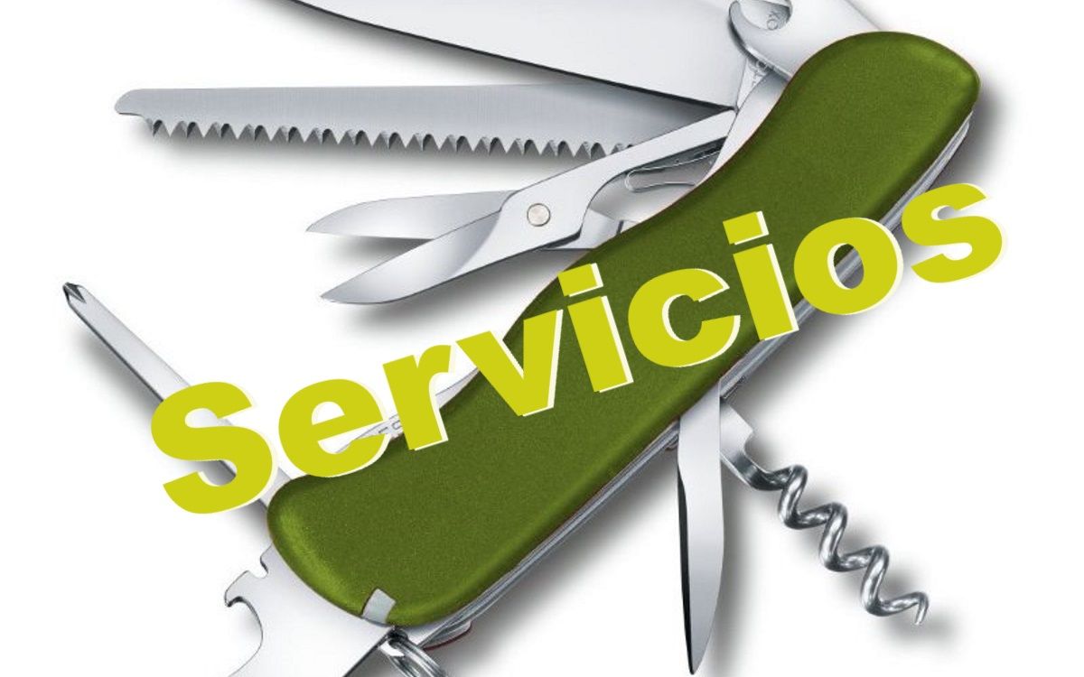 Servicios en Internet